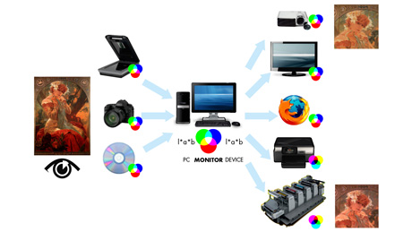 Corso di Adobe Photoshop: avanzato